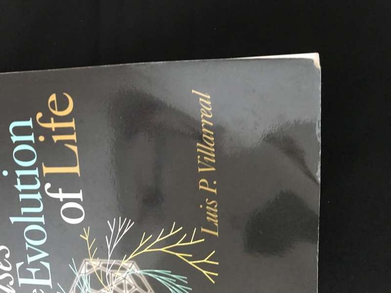 Viruses and the Evolution of Life By Luis P Villarreal