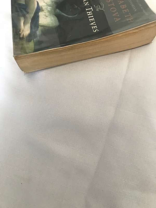 The Swan Thieves: A Novel