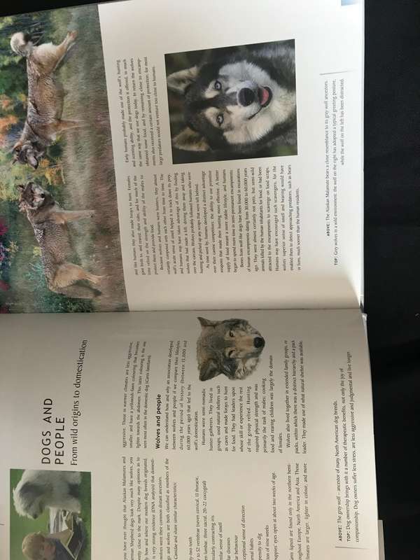 The Dog Owner's Handbook hardcover