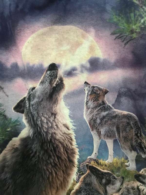 David Penfound "The Mountain" Wolf T-Shirt Small