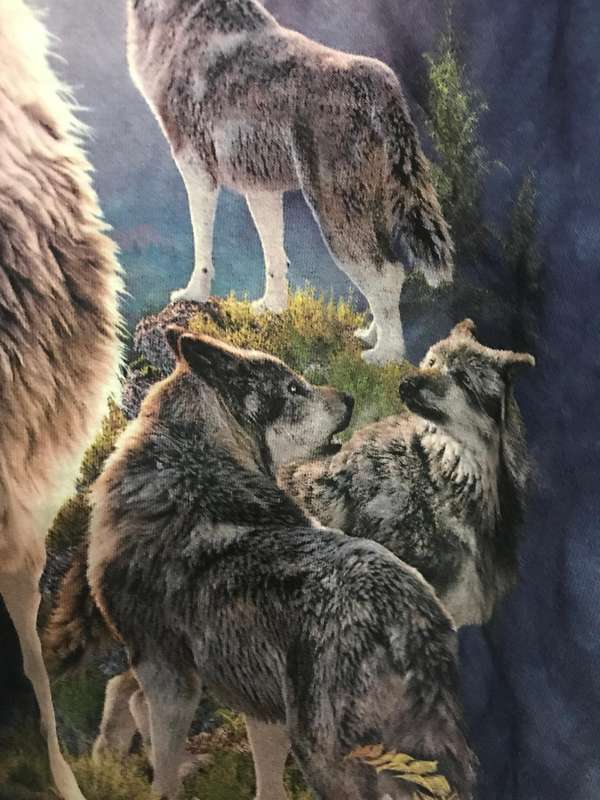David Penfound "The Mountain" Wolf T-Shirt Small