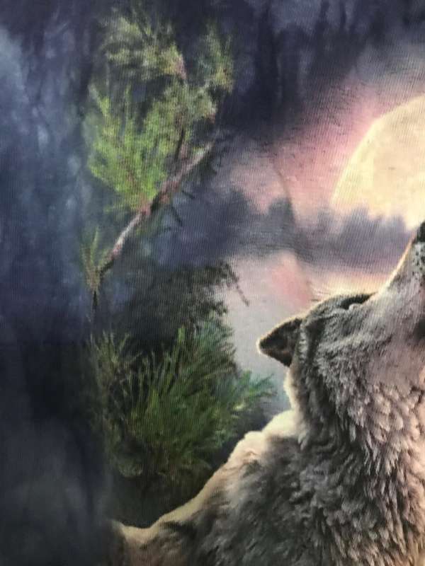 David Penfound "The Mountain" Wolf T-Shirt Small