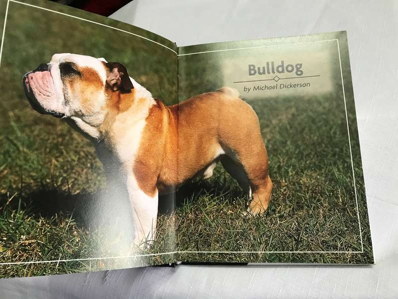 Book: Bulldog