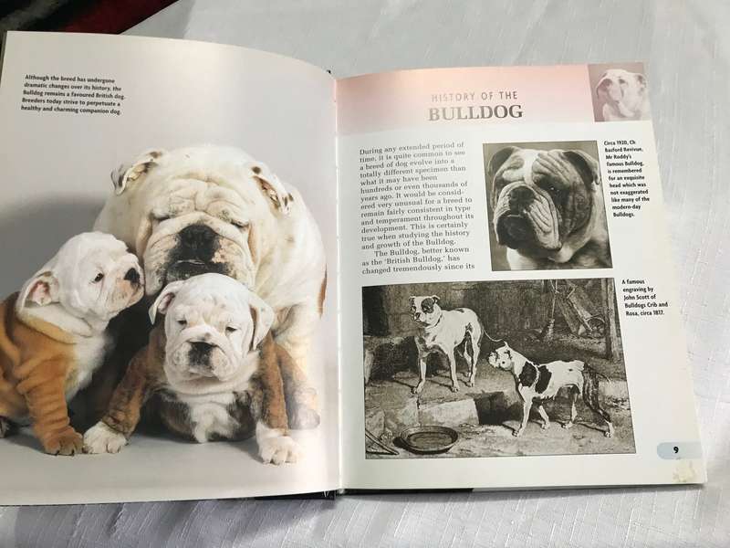 Book: Bulldog