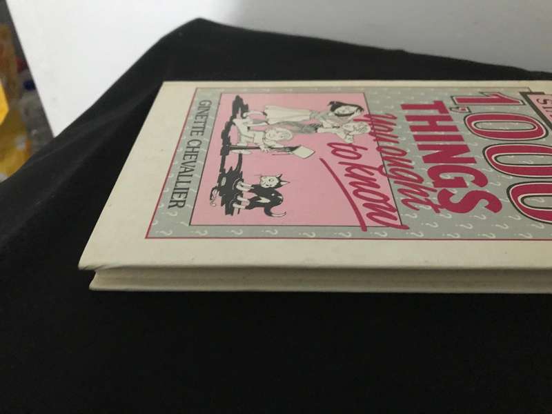 Stains & Fabrics - 1000 things you ought to know Ginette Chevallier 1986