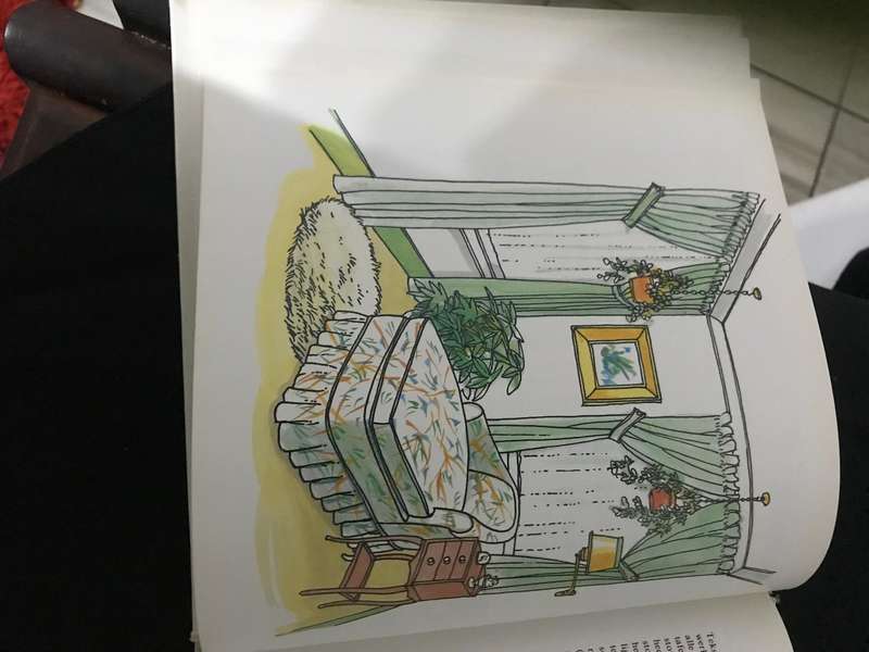 Restourasie in die huis - Ann Lamacraft