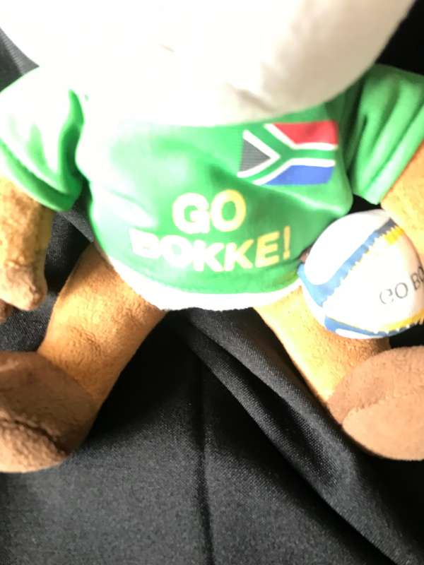 Siay Kolisi RISE and Springbok plushie