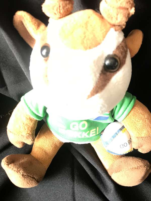 Siay Kolisi RISE and Springbok plushie