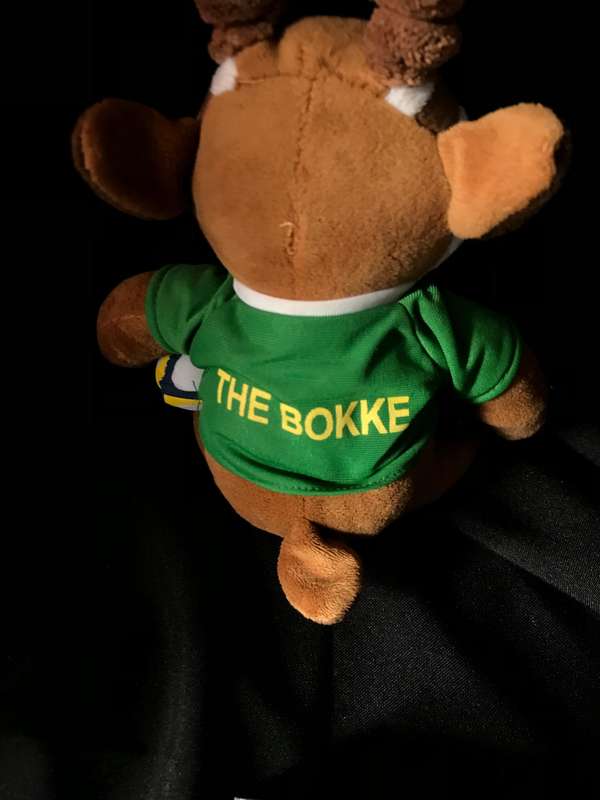 Siay Kolisi RISE and Springbok plushie