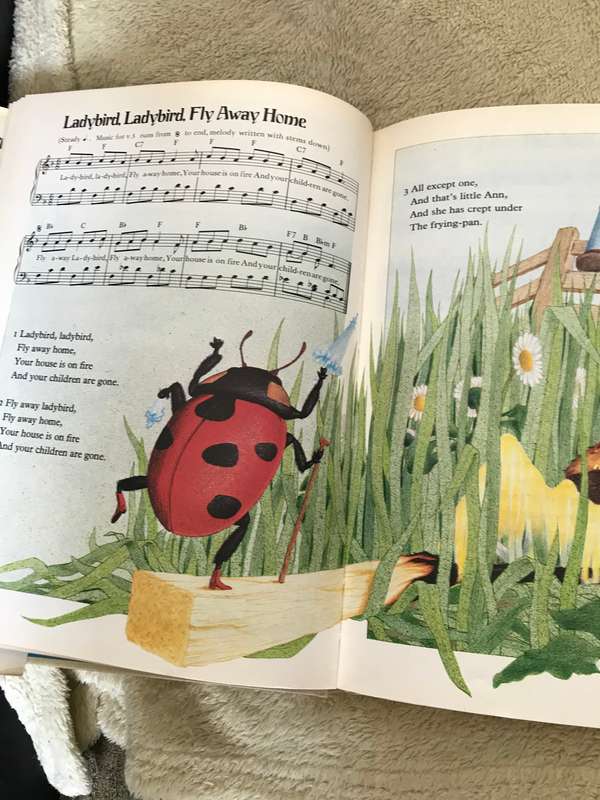 The Childrens Song Book John White and Gail Lewton