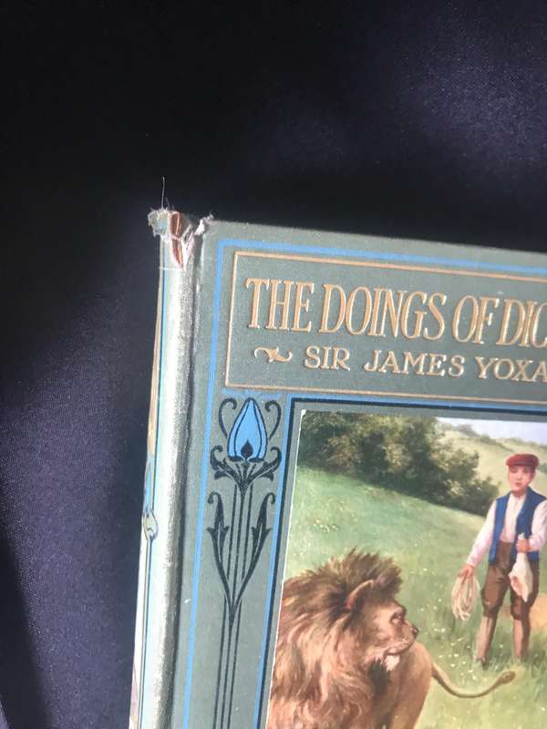 The Doings of Dick and Dan Sir James Yoxall, M.P. 1911 published in London
