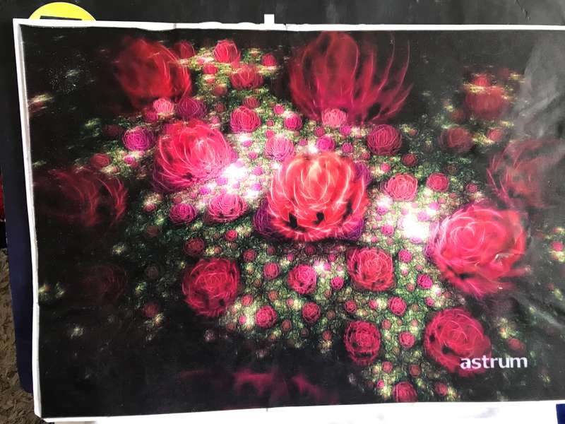 Laptop Skins Wrap