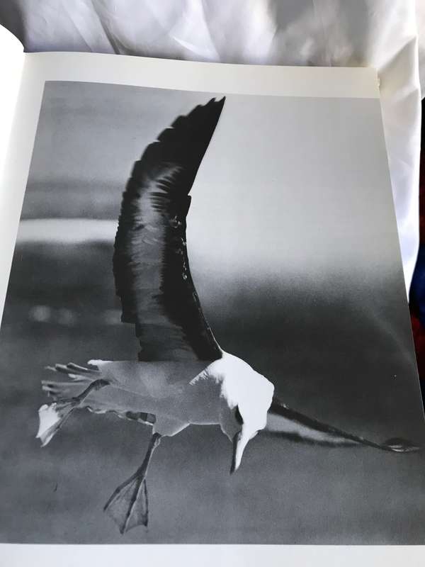 Birds of the World: Their Life and Habits Barruel, Paul