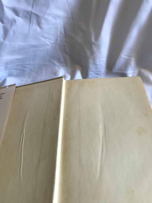 The Strong Room novel by Wheelwright