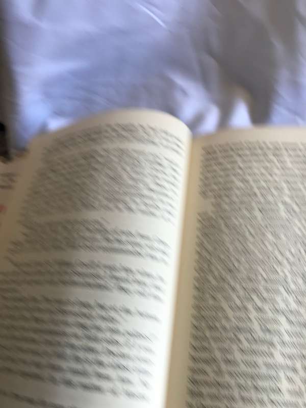 The Strong Room novel by Wheelwright