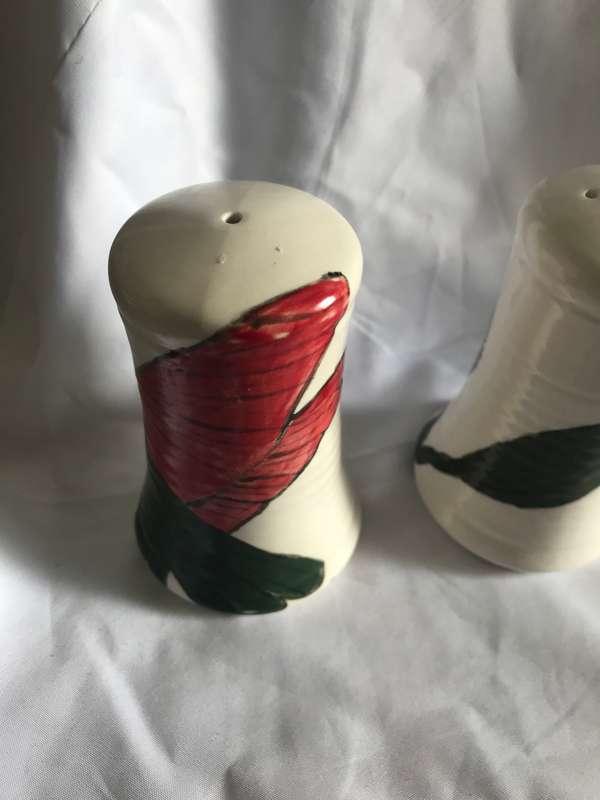Salt and Pepper hand painted shakers 16784