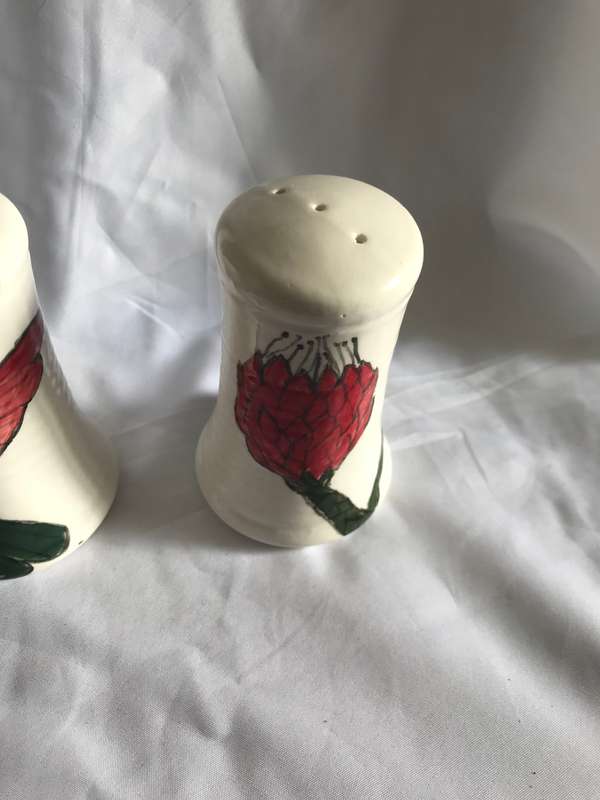 Salt and Pepper hand painted shakers 16784