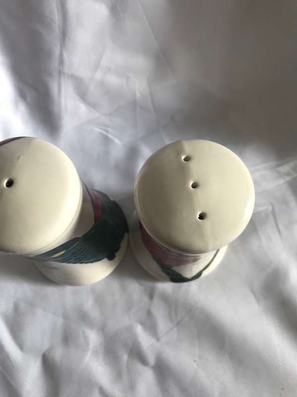 Salt and Pepper hand painted shakers 16784
