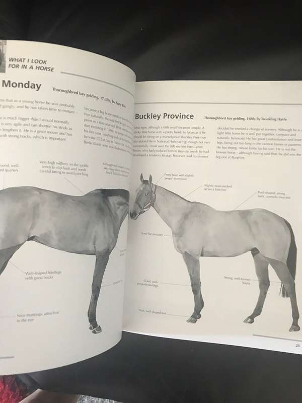 Training the Cross Country Horse