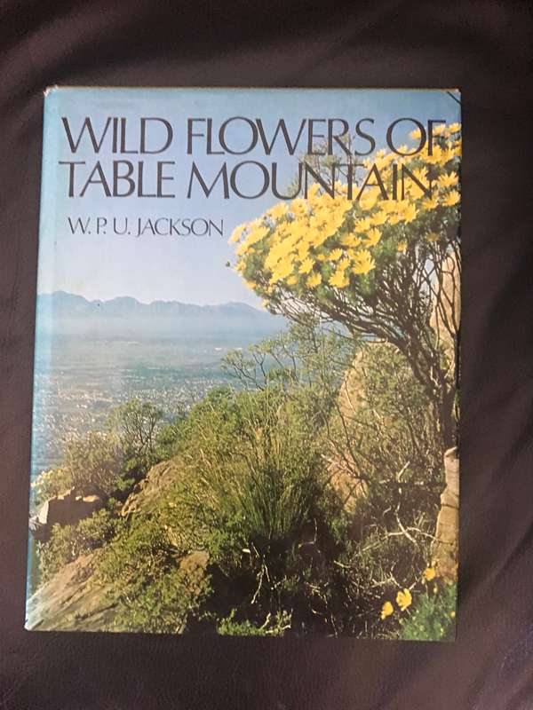 Wild Flower Table Mountain W.P.U.Jackson