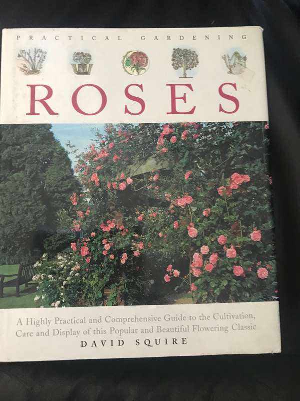 Roses Practical Gardening David Squire