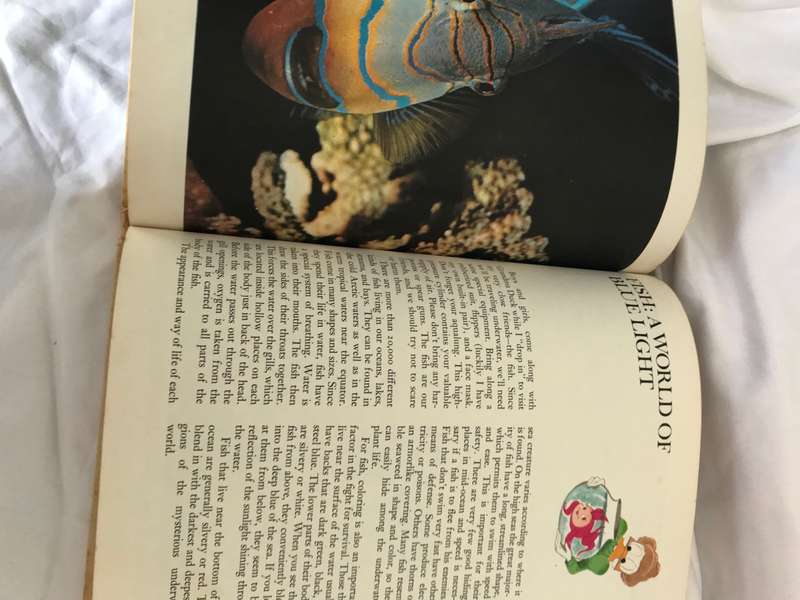 Disneys Wonderful World of Knowledge 1973