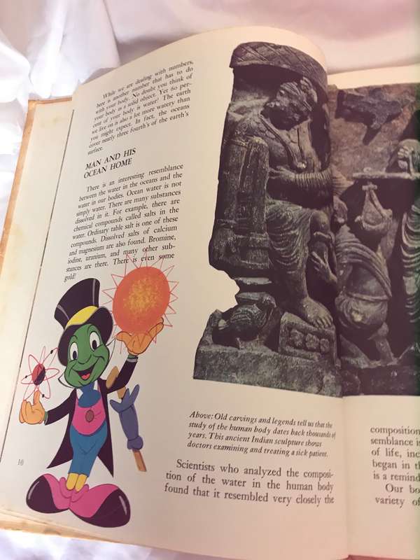 Disneys Wonderful World of Knowledge 1971,1973 production