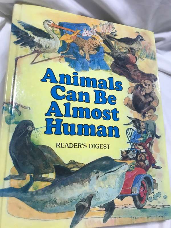 Animals can be almost human kids book