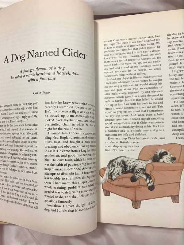 Animals can be almost human kids book