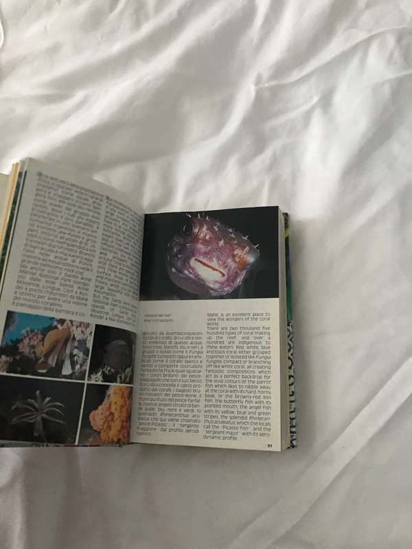 Seychelles in tasca Seyschelles in your pocket IV edition book Italiano-English