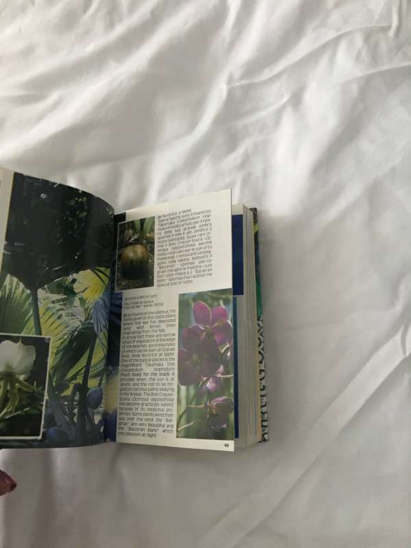 Seychelles in tasca Seyschelles in your pocket IV edition book Italiano-English