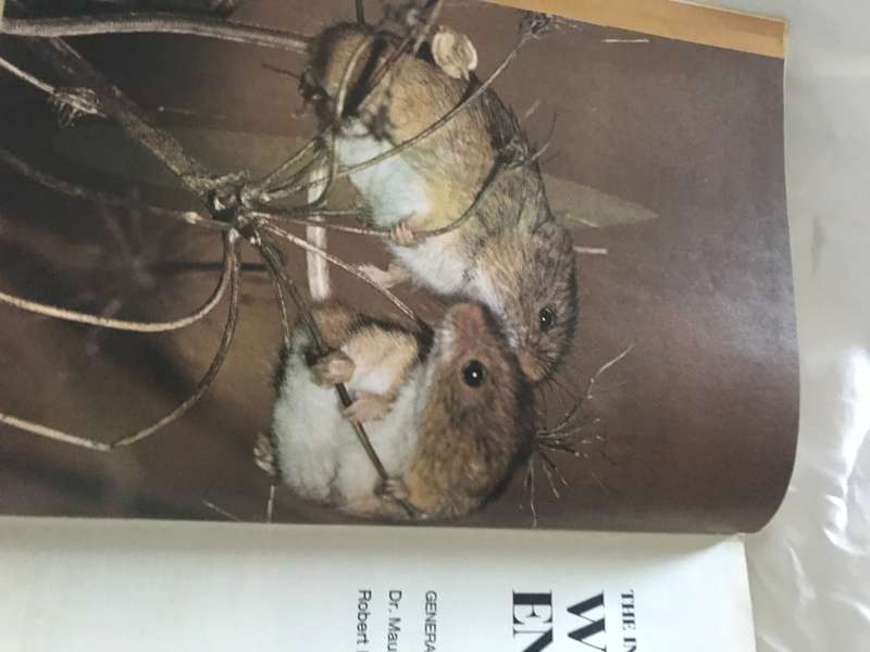 The international Wild life Encyclopedia volume 2