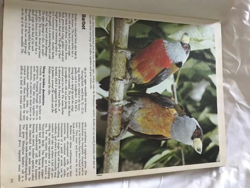 The international Wild life Encyclopedia volume 2