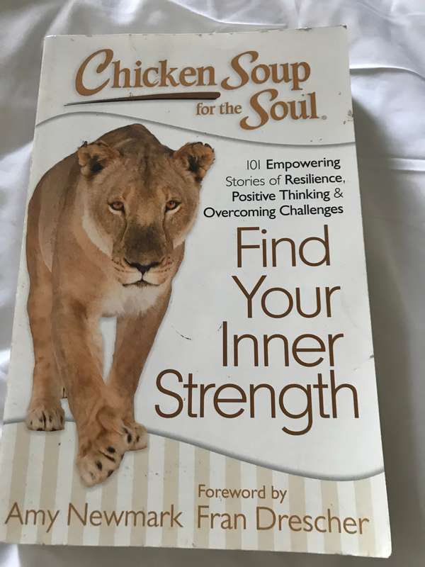 Chicken Soup for the Soul Find Your Inner Strength 101 Empowering Stories of Resilience