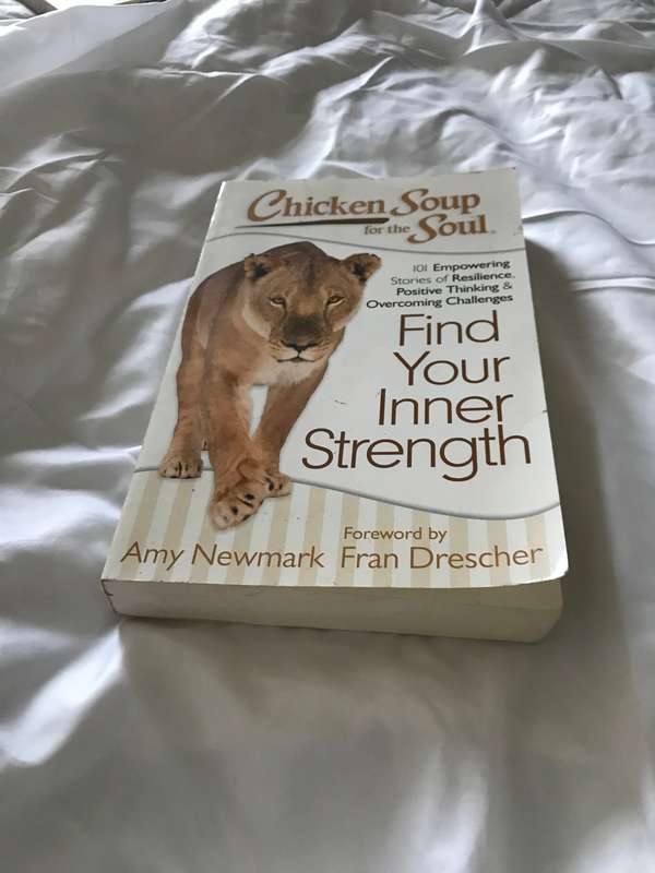 Chicken Soup for the Soul Find Your Inner Strength 101 Empowering Stories of Resilience
