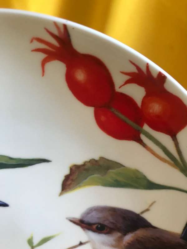 Maxwell and Williams Blue Wrens dish  Bone china  Eric Shepherd  Australian birds