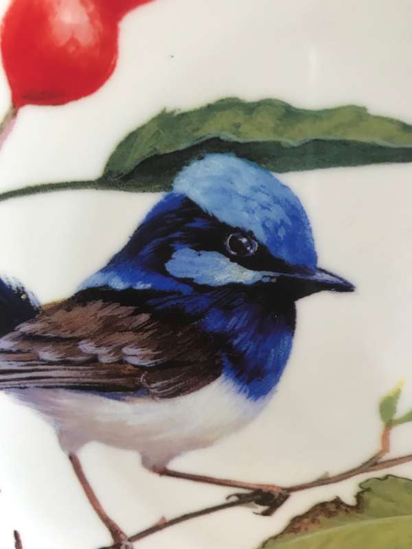 Maxwell and Williams Blue Wrens dish  Bone china  Eric Shepherd  Australian birds