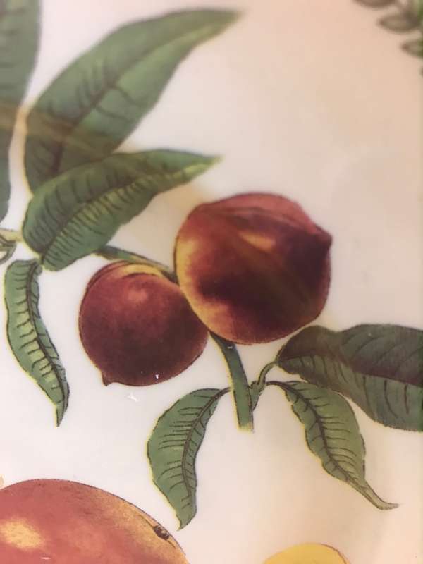 Royal Traditions Botanical Fruit Salad Plate stoneware