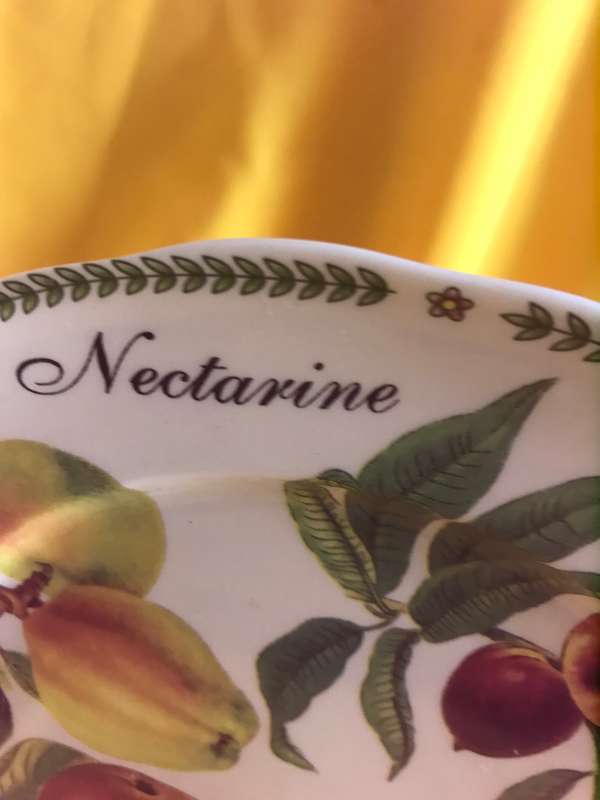 Royal Traditions Botanical Fruit Salad Plate stoneware