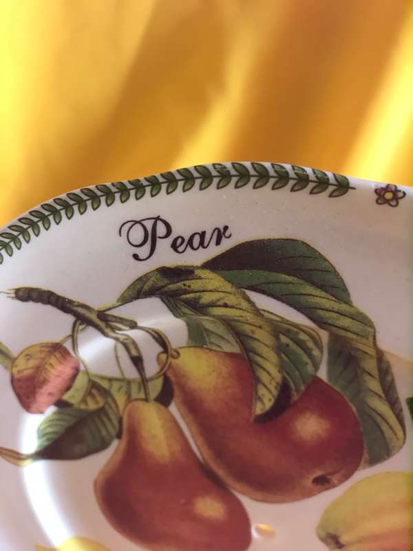 Royal Traditions Botanical Fruit Salad Plate stoneware
