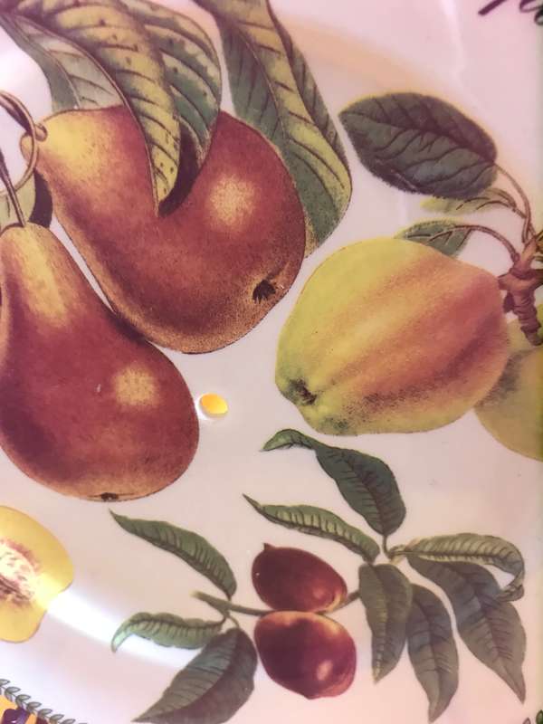 Royal Traditions Botanical Fruit Salad Plate stoneware