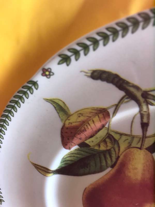Royal Traditions Botanical Fruit Salad Plate stoneware