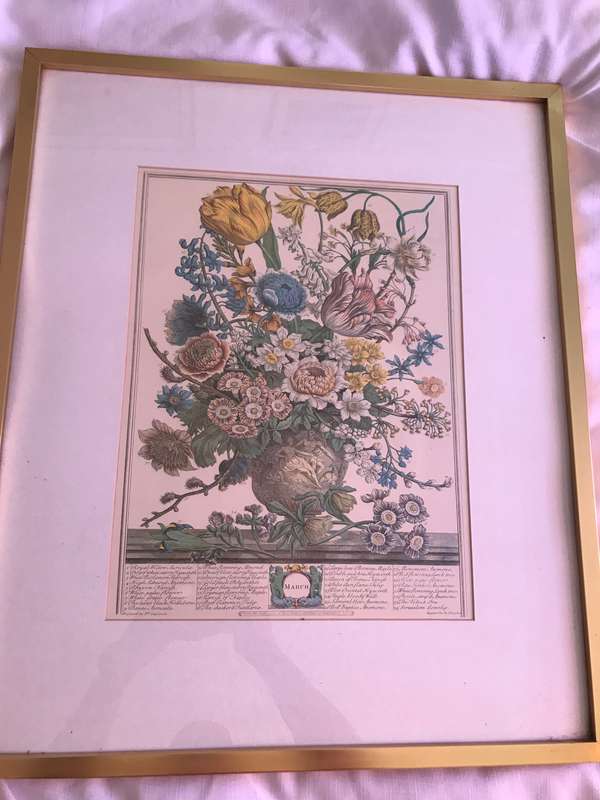 Vintage Print 12 Months of Flowers- March Robert Furber 1730 Gold Metal Frame 64cm x 54cm