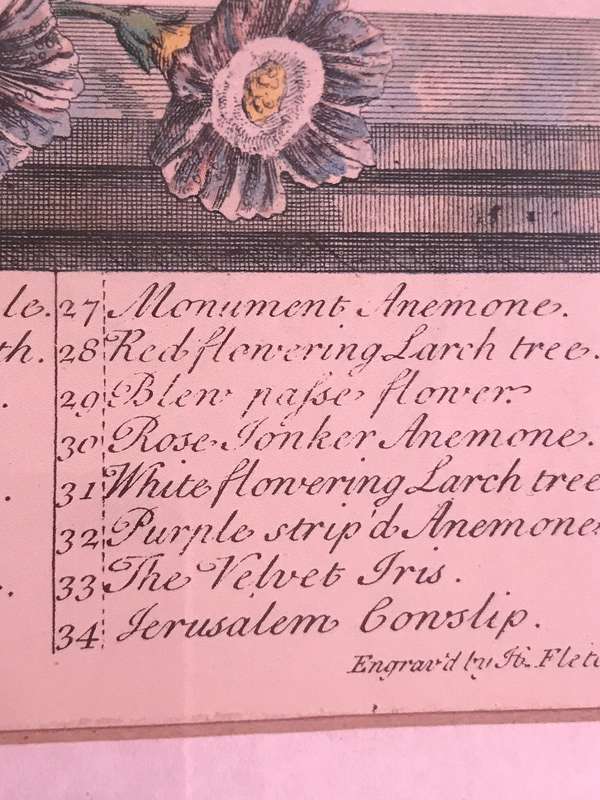 Vintage Print 12 Months of Flowers- March Robert Furber 1730 Gold Metal Frame 64cm x 54cm