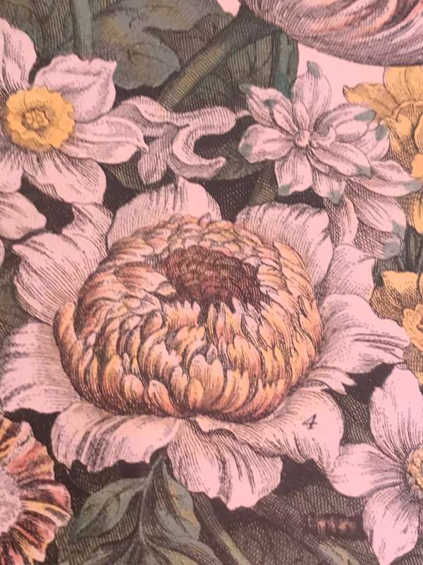 Vintage Print 12 Months of Flowers- March Robert Furber 1730 Gold Metal Frame 64cm x 54cm
