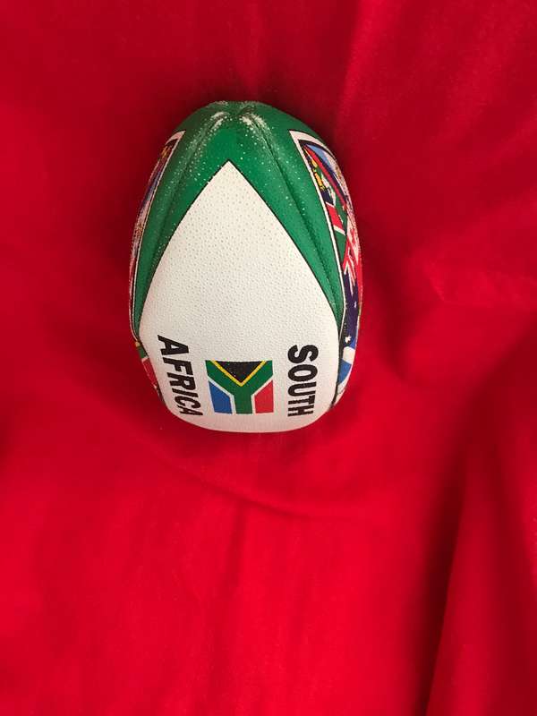Rugby 2019 World cup Ball Collectable size 5