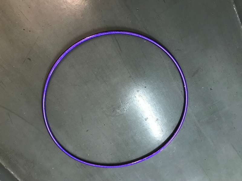 Professional Rhythmic Gymnastics  hoop inside a cover Purple