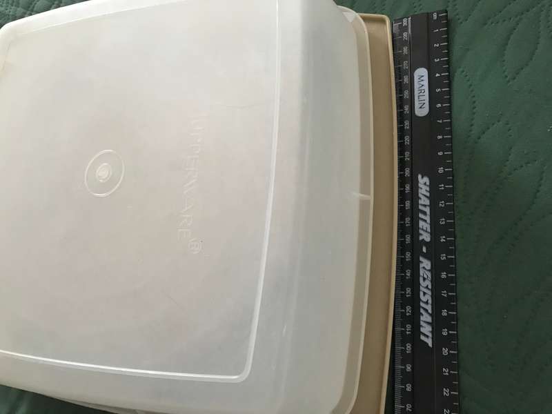 Vintage Tupperware bowl