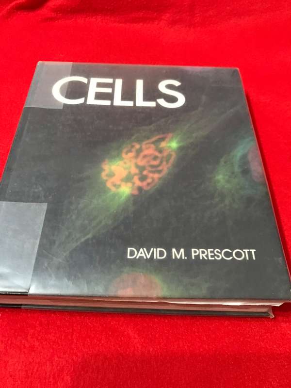CELLS David M Prescott