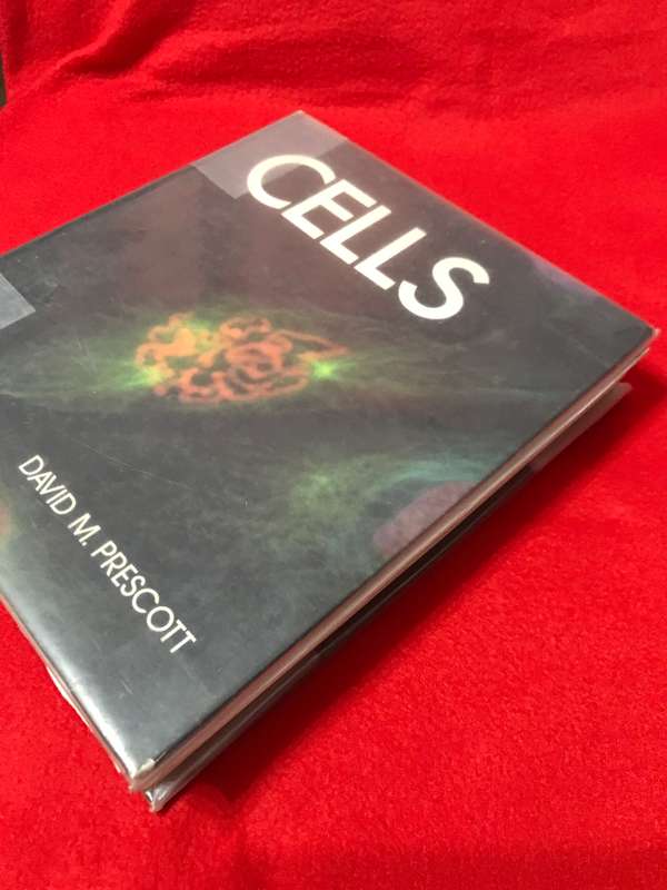 CELLS David M Prescott